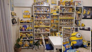 Collector's despicable collection of more than 1K different Minions merch earns her Guinness World Record