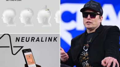 Elon Musk's Neuralink could fetch $8.5B valuation: report