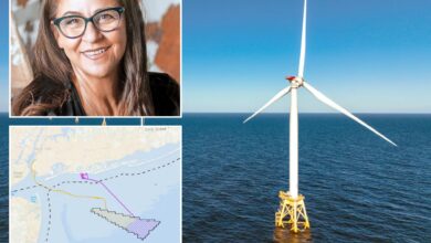 Empire Wind One energy would cost NYers 2.5x market rate: expert