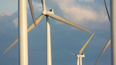 Wind turbines standing tall on a farm in Lowville, New York, August 24, 2006.