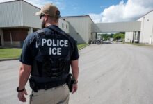 Here's how many illegal aliens have been arrested and deported in Trump's first 100 days