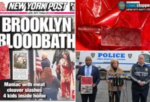 Madman's bloody cleaver rampage is yet another case for expanding involuntary commitment
