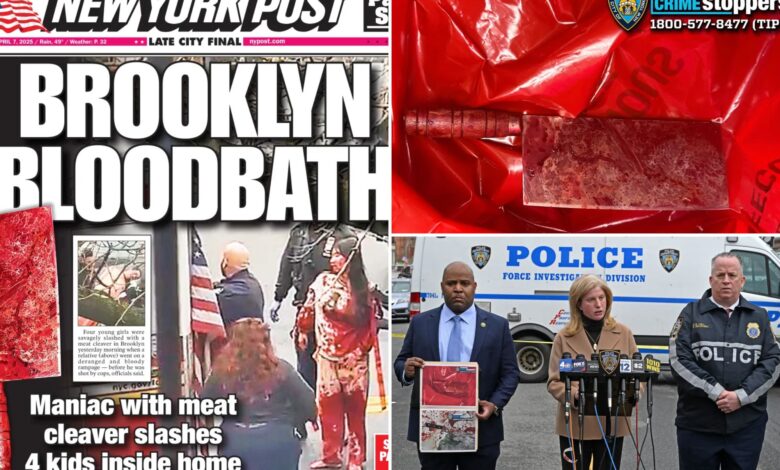 Madman's bloody cleaver rampage is yet another case for expanding involuntary commitment