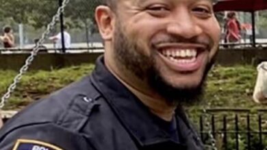 Officer Travis DeSouza, 35, was suspended without pay by the NYPD for sending lurid messages and images to an undercover cop posing as a 14-year-old girl, a criminal complaint alleged.