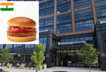 Secret McDonald's in Chicago serves items you won't find elsewhere