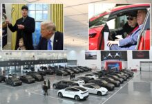 Tesla to delay US launch of cheaper Model Y in major setback for Elon Musk: report
