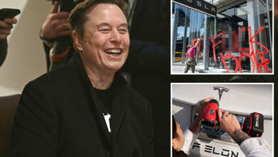 Tesla's net income plunges 71% as Elon Musk confirms 'major work' setting up DOGE is done