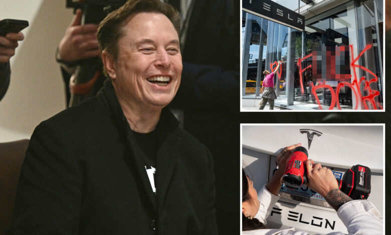 Tesla's net income plunges 71% as Elon Musk confirms 'major work' setting up DOGE is done