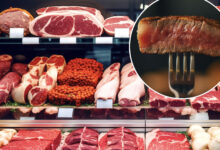 Why suburbanites face a higher risk of developing a meat allergy