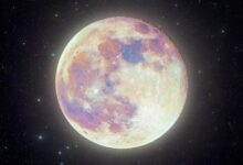 GettyImages-1315175642-zodiac-horoscope