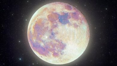 GettyImages-1315175642-zodiac-horoscope