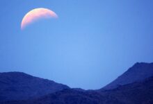 All 12 Zodiacs' Horoscope Forecast for May 4 Through 10