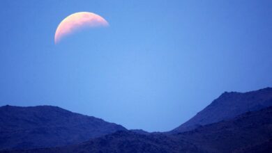 All 12 Zodiacs' Horoscope Forecast for May 4 Through 10