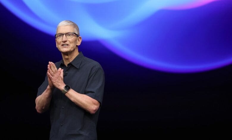 Apple CEO Tim Cook