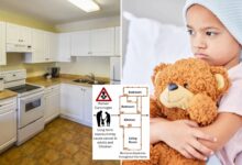 Common appliance raises kids' cancer risk nearly twice as much as adults'