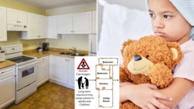 Common appliance raises kids' cancer risk nearly twice as much as adults'
