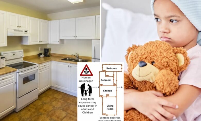 Common appliance raises kids' cancer risk nearly twice as much as adults'