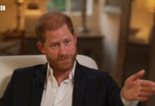 Prince Harry s BBC interview 391