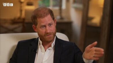 Prince Harry s BBC interview 391