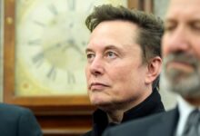 Elon Musk at White House