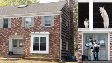 Horrifying discovery made in Long Island home following reports of foul stench coming from building