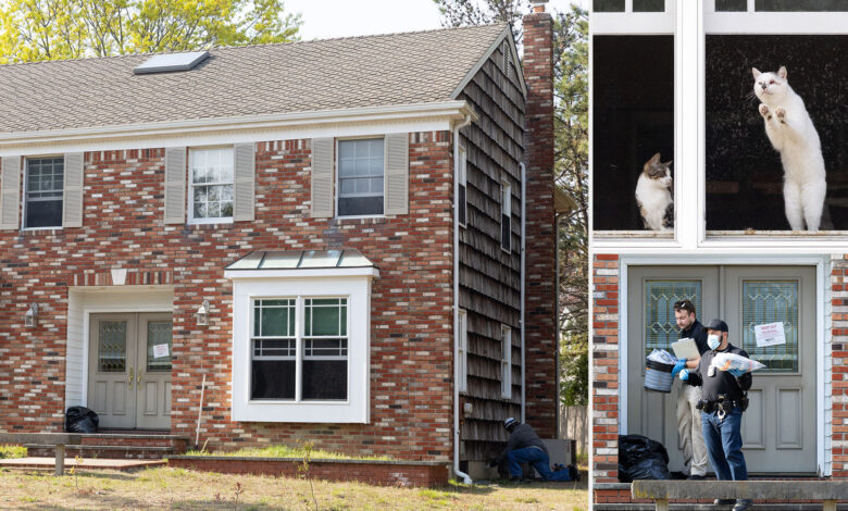 Horrifying discovery made in Long Island home following reports of foul stench coming from building