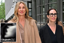 Lawyers for glamorous leaders of 'orgasm cult' OneTaste insist victims 'were having a blast'