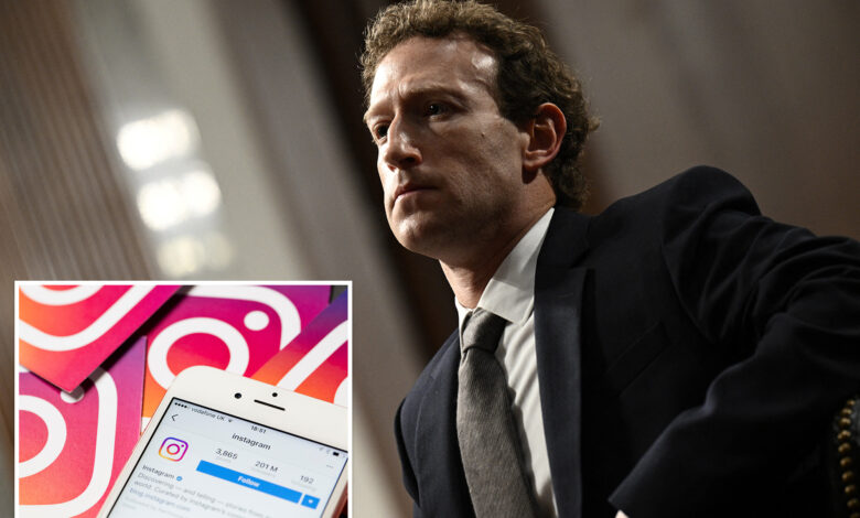 Meta executive warned 'fake engagement' on Instagram app 'could be in range of 40%': court docs