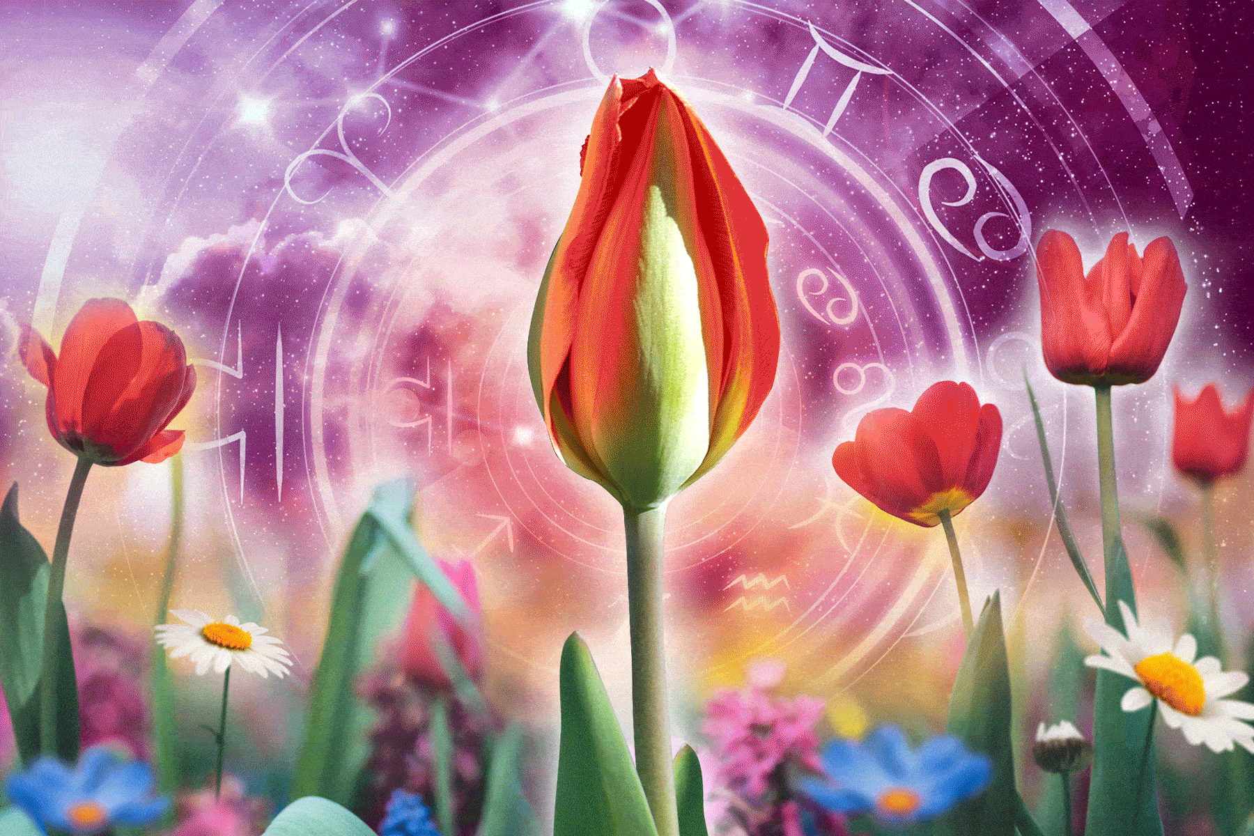 Monthly horoscopes for every zodiac sign