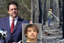 NJ arsonist told cops Jones Road Wildfire started by Mexicans