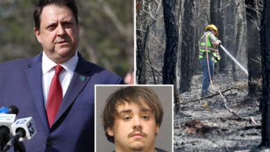 NJ arsonist told cops Jones Road Wildfire started by Mexicans