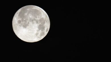 New Project! All 12 Zodiacs' Horoscope Forecast for May 11 Through 17