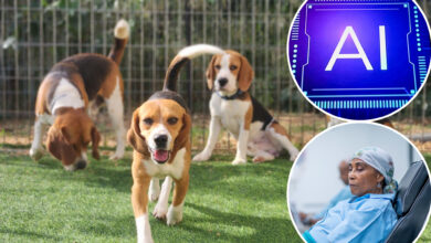 New home test can detect cancer — thanks to puppies who sniff it out