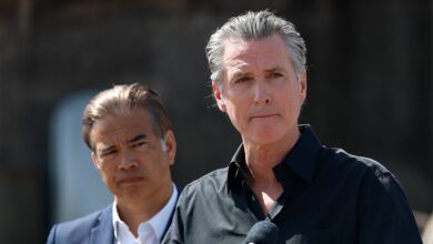 Gavin Newsom holds a press conference against Trump's tarriffs