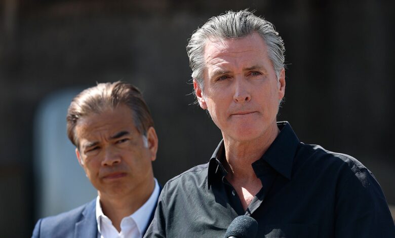 Gavin Newsom holds a press conference against Trump's tarriffs