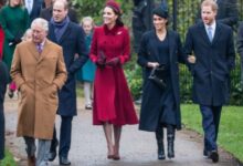 prince harry royal family