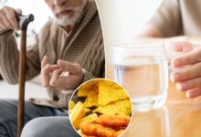 These foods increase odds of early Parkinson's symptoms: study