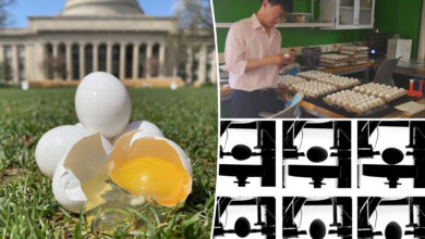 Tired of cracked eggs? Scientists reveal the surprising storage method to avoid that