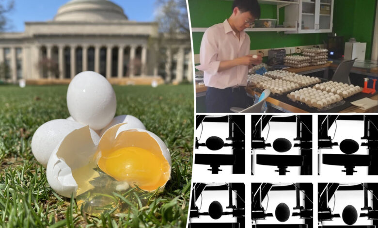 Tired of cracked eggs? Scientists reveal the surprising storage method to avoid that