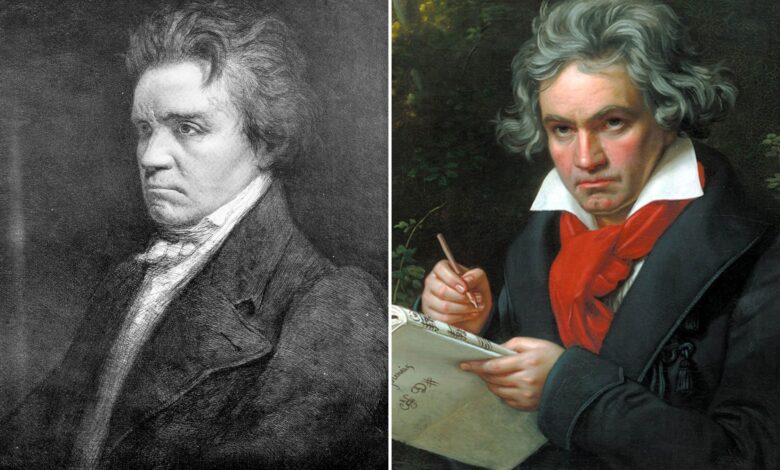 What Beethoven really looked like — scientists reveal face