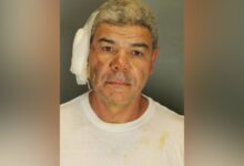 Mohamed Sabry Soliman mugshot