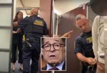 Dem NY Rep. Jerrold Nadler's aide was detained by 'heavy-handed' DHS agents in Manhattan office