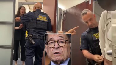 Dem NY Rep. Jerrold Nadler's aide was detained by 'heavy-handed' DHS agents in Manhattan office