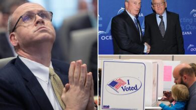 Democratic power player Marc Elias suing to ensure foreigners can meddle in elections