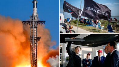 Elon Musk predicts SpaceX revenue of more than $15B in 2025