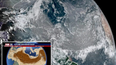 Florida on alert after Saharan dust cloud clobbers Caribbean