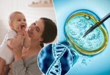 IVF parents spending thousands on genetic embryo screening