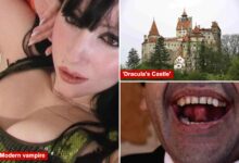Inside the secret society of ‘real life vampires’