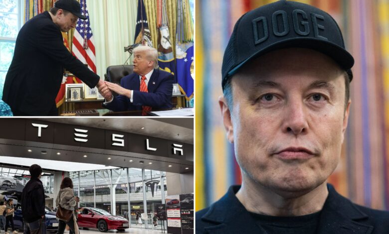 Tesla shares crater as Trump, Musk feud goes nuclear