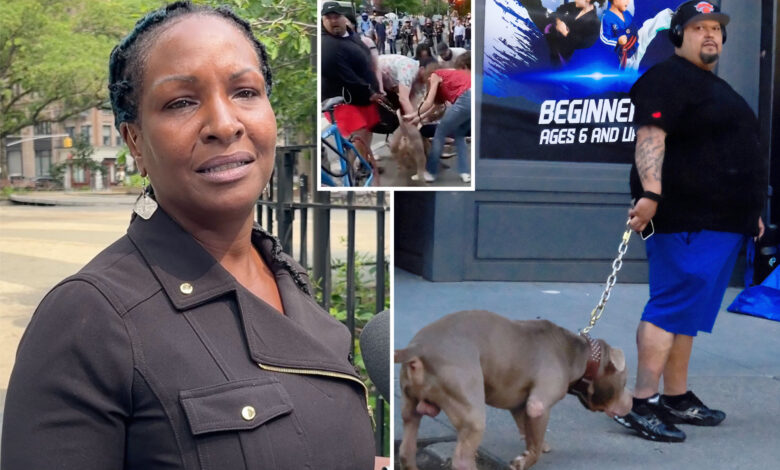 Tiny chihuahua mauled in UWS attack sparked fight with pit bulls, lawyer claims — as arrest warrant issued for large dogs' owner